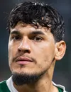 Gustavo Raul Gomez Portillo