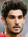 Goncalo Manuel Ganchinho Guedes